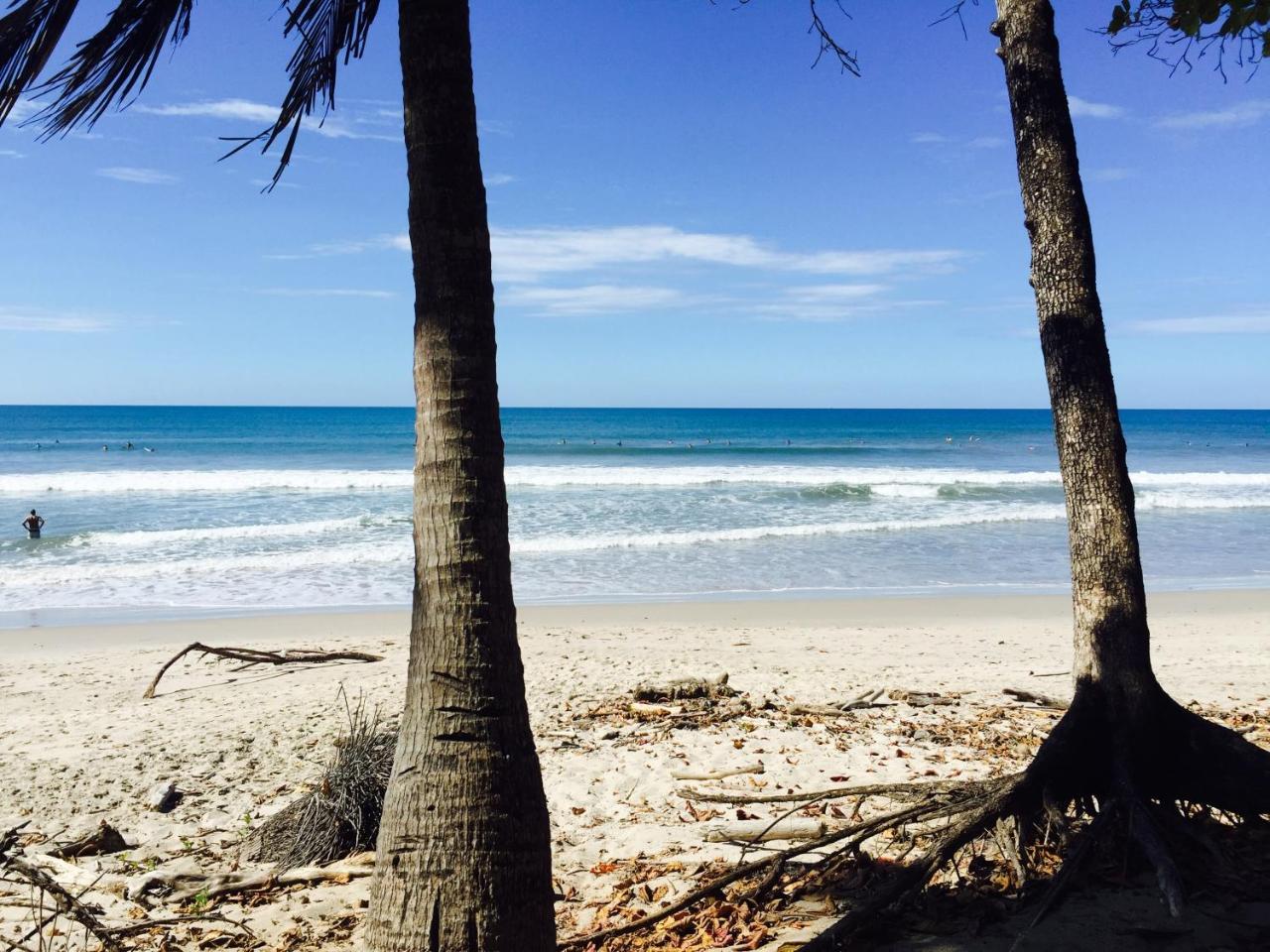Playa Santa Teresa  Costa Riki Apartments מראה חיצוני תמונה